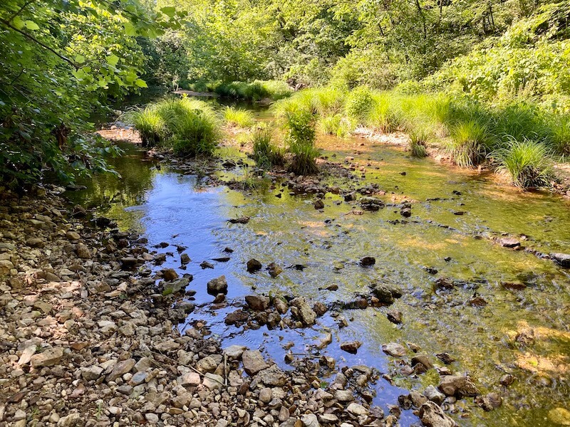 Berryman campground best sale