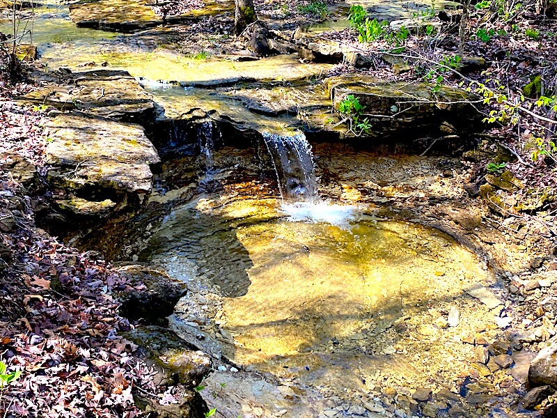 Top Five Spring Hikes Near St. Louis - thatawaydad.com